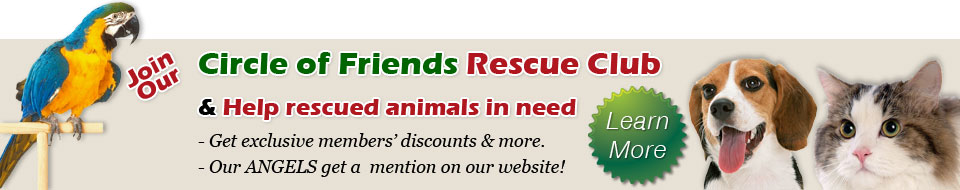 Rescue Club